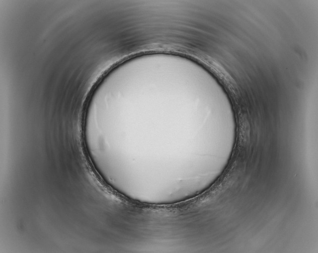 X0000111880896200908131631