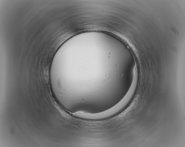 X0000111880897200908131631