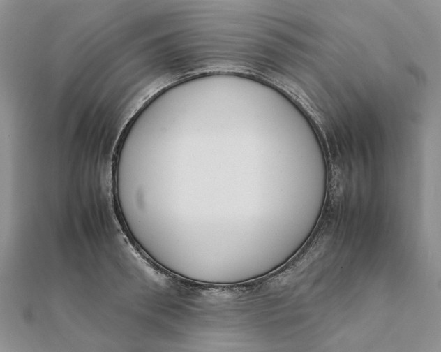 X0000111880898200908131631