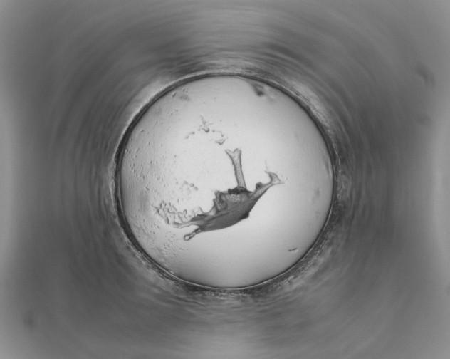 X0000111880899200908131631