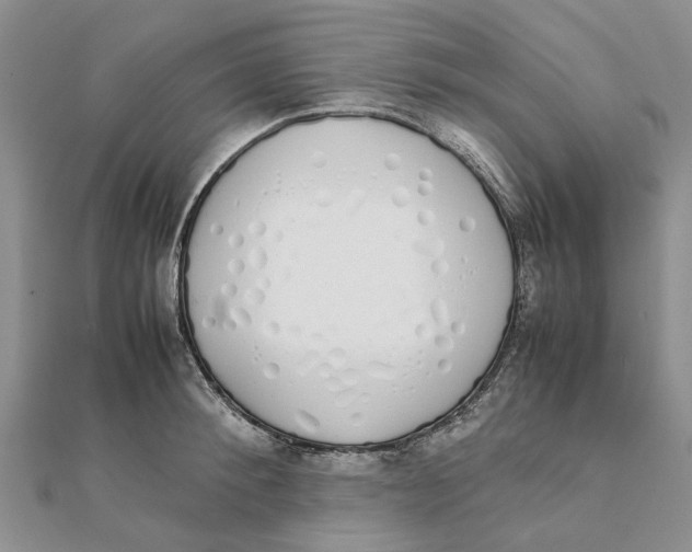 X0000111880900200908131631