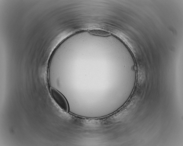 X0000111880901200908131631