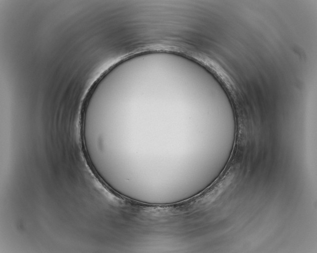 X0000111880902200908131631