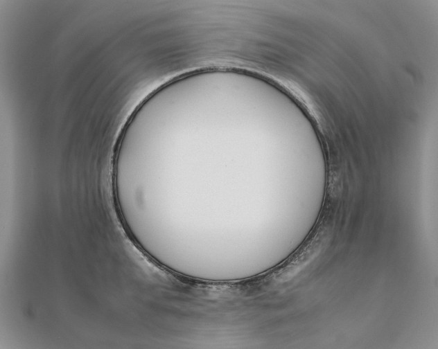 X0000111880903200908131631