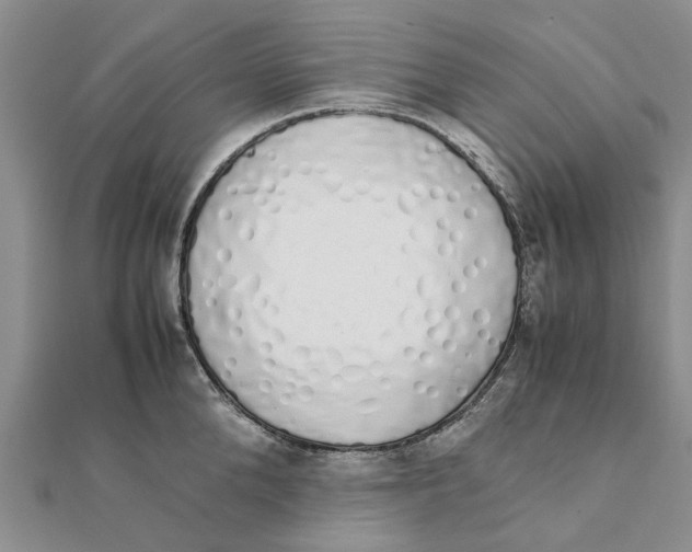 X0000111880904200908131631