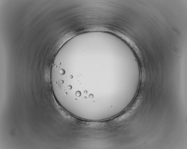 X0000111880905200908131631