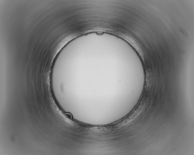 X0000111880906200908131631