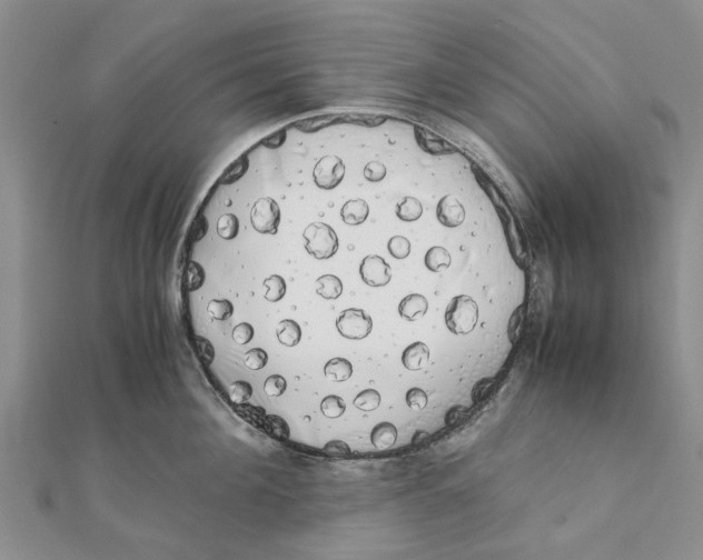 X0000111880908200908131631