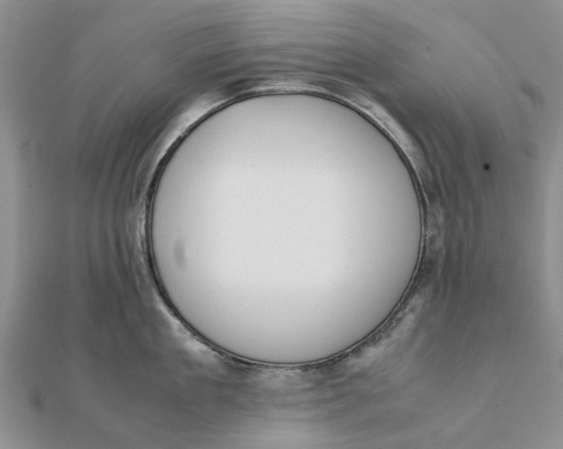 X0000111880909200908131631