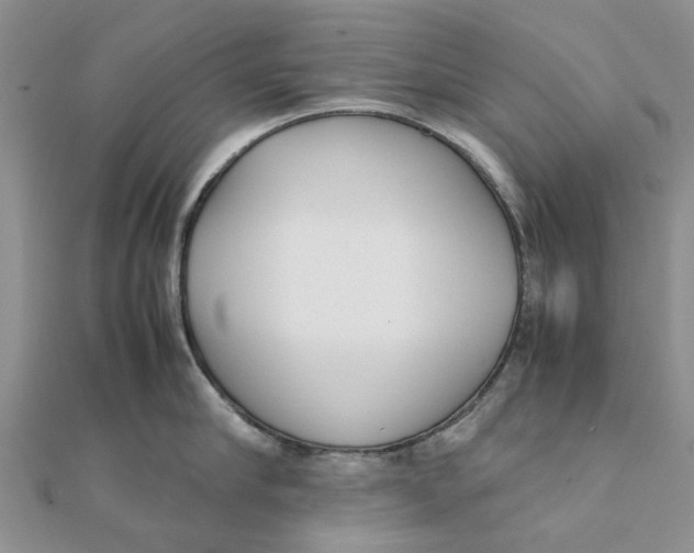 X0000111880910200908131631