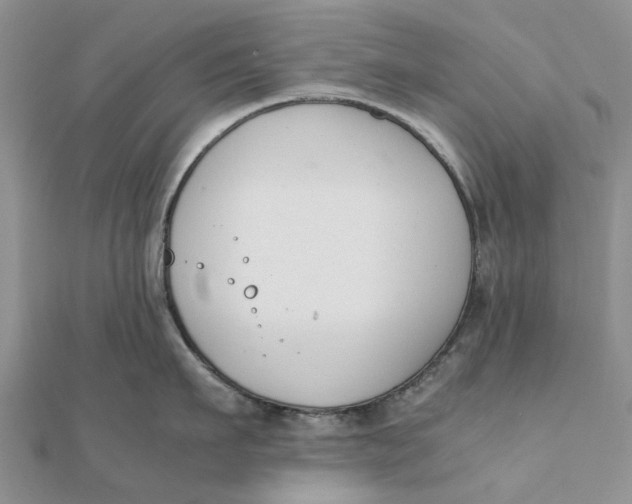 X0000111880911200908131631