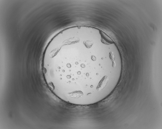 X0000111880912200908131631