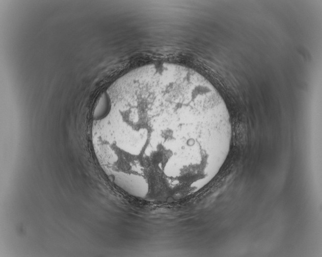 X0000111880913200908131630