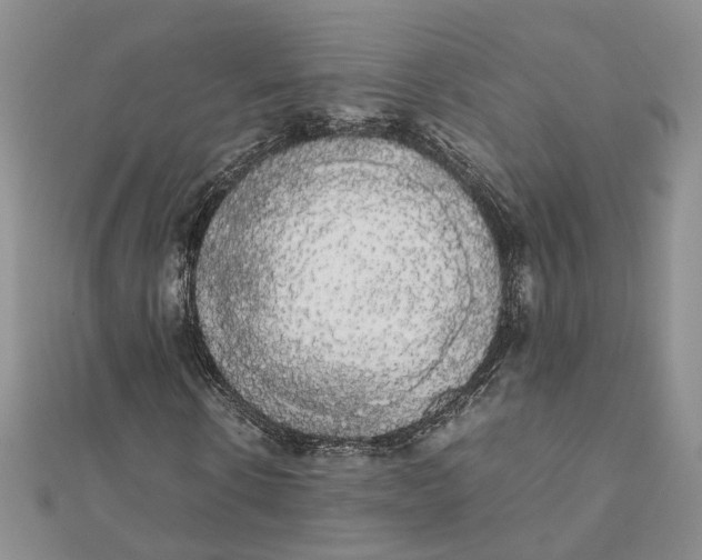 X0000111880914200908131630