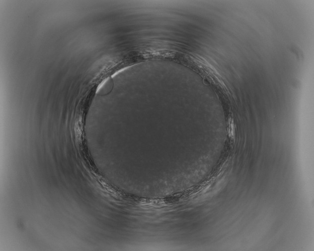 X0000111880915200908131630