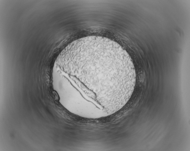 X0000111880916200908131630