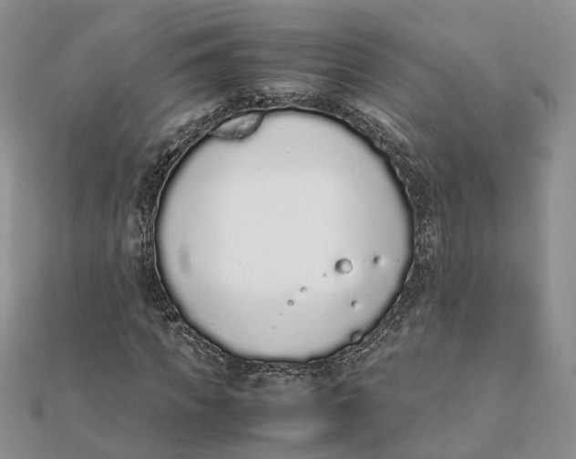 X0000111880917200908131630