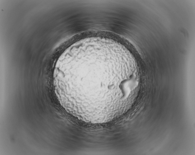 X0000111880919200908131630