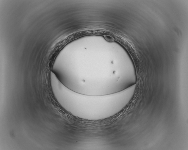 X0000111880920200908131630