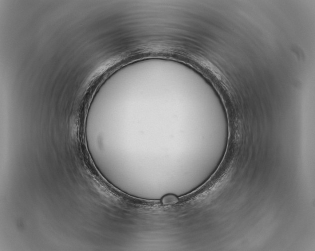 X0000111880922200908131630