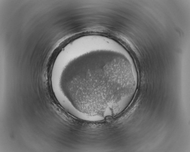 X0000111880923200908131630