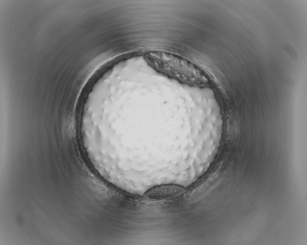 X0000111880924200908131630