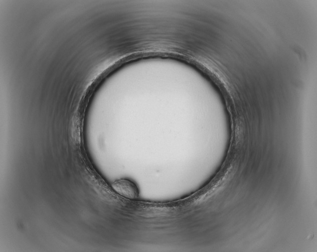 X0000111880925200908131630