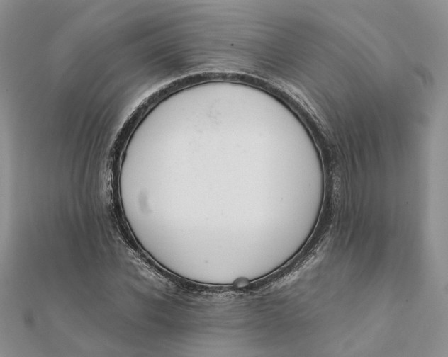 X0000111880926200908131630