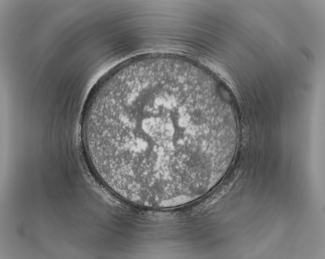 X0000111880928200908131630