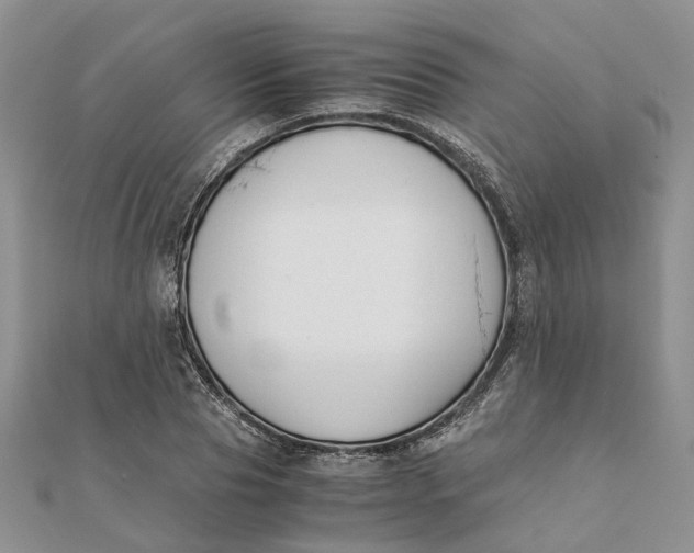 X0000111880929200908131630