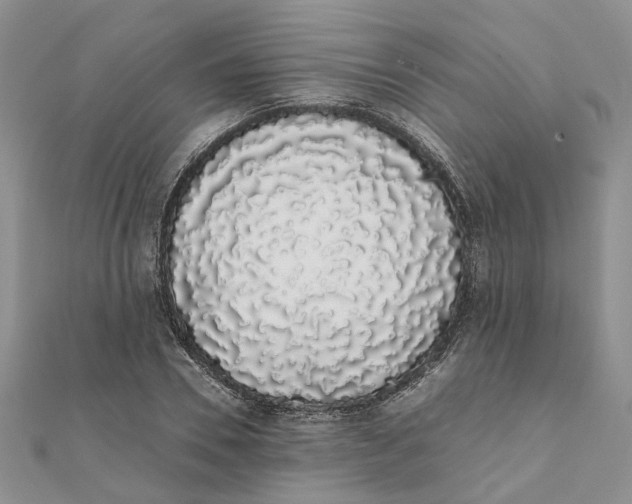 X0000111880930200908131630