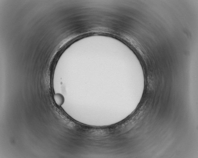 X0000111880931200908131630