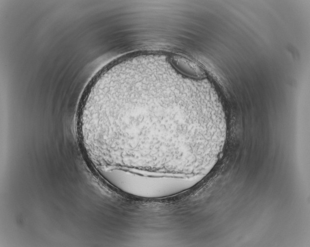 X0000111880932200908131630