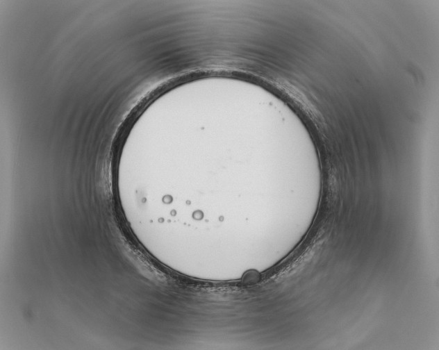 X0000111880934200908131630