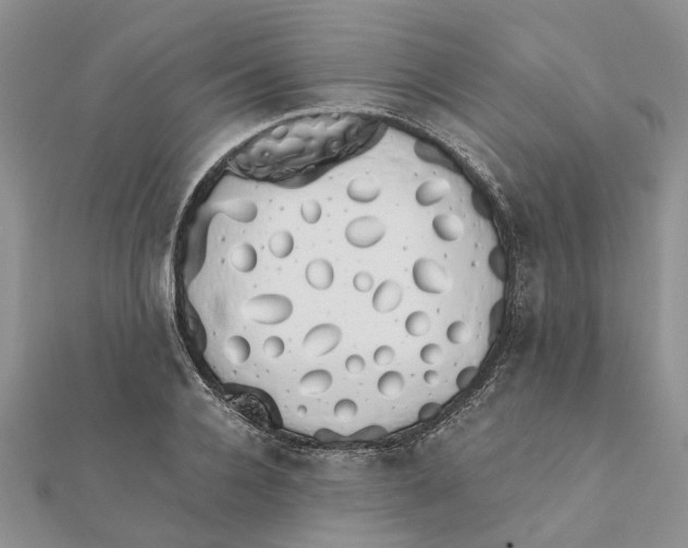 X0000111880936200908131630