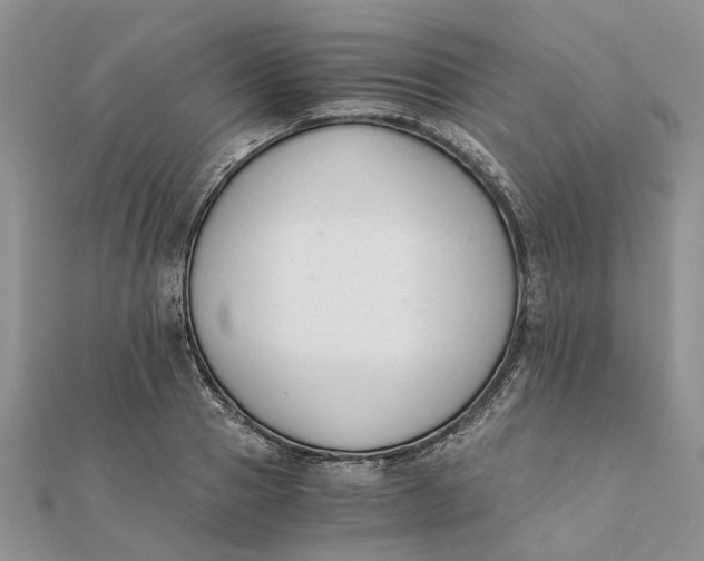 X0000111880937200908131630