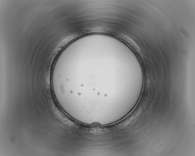 X0000111880938200908131630