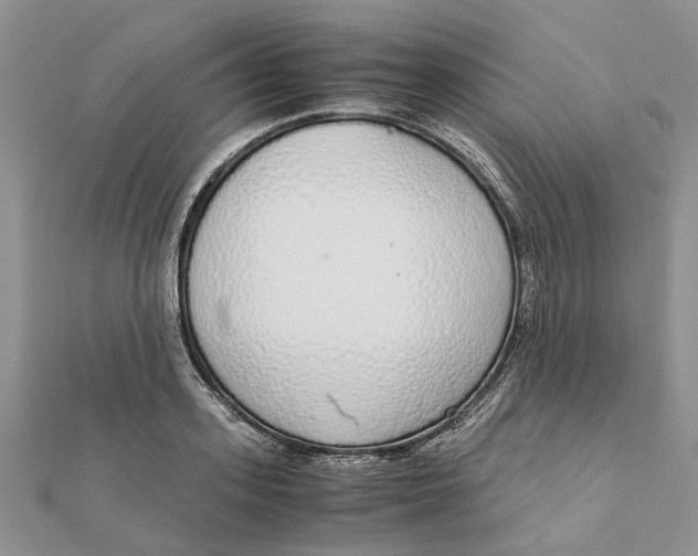 X0000111880939200908131630