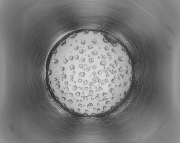 X0000111880940200908131631