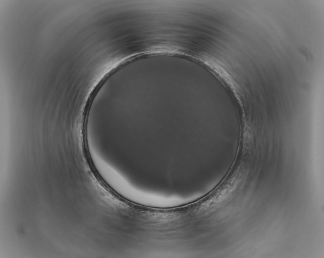 X0000111880941200908131631