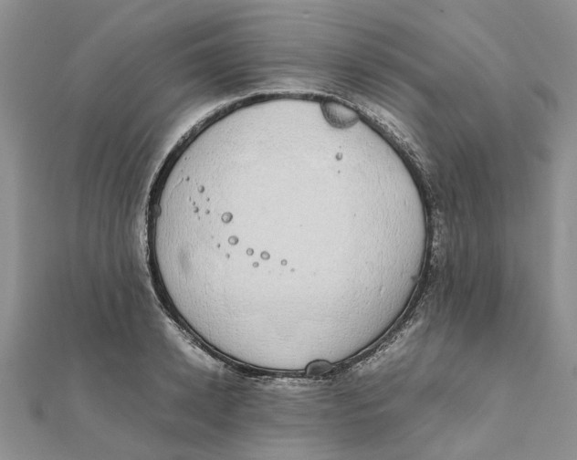 X0000111880942200908131631