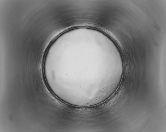 X0000111880943200908131631