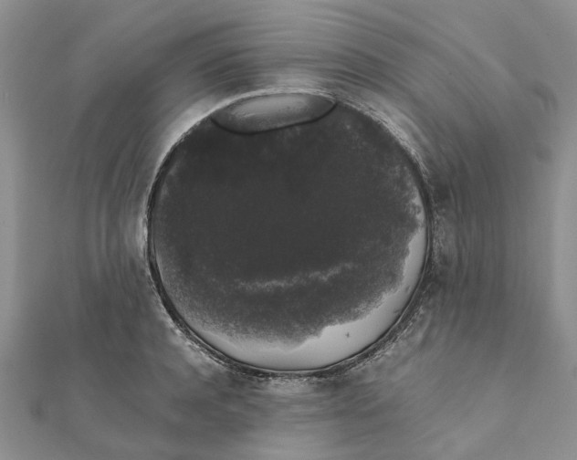 X0000111880944200908131631