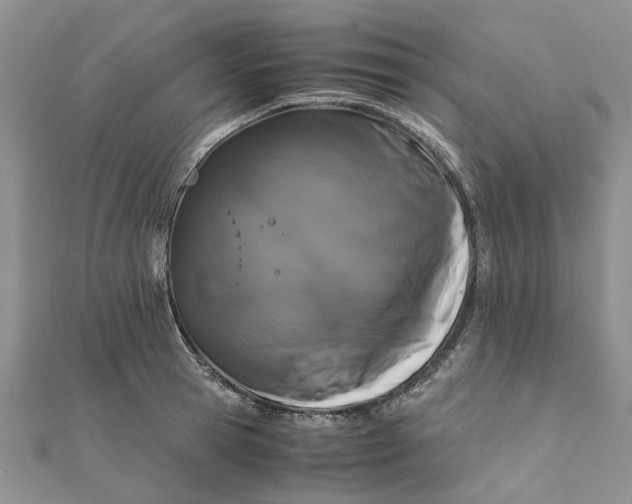 X0000111880945200908131631