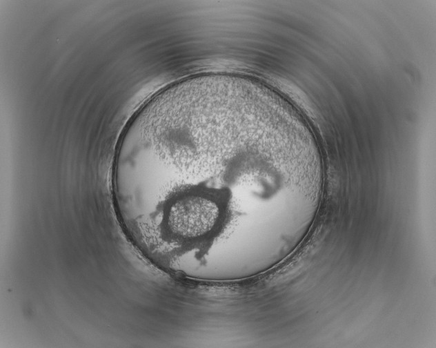 X0000111880946200908131631