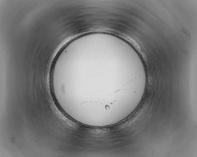 X0000111880947200908131631