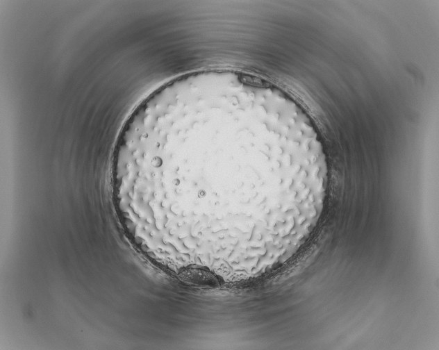 X0000111880948200908131631