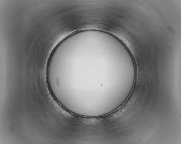 X0000111880949200908131631