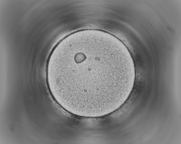 X0000111880950200908131631