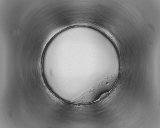 X0000111880951200908131631